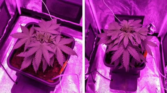 1597682371571.png 1597682371571.png