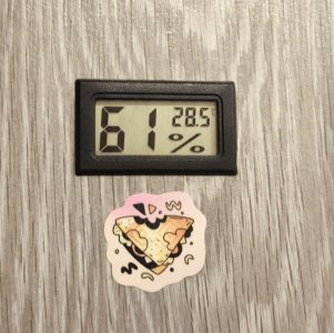 5300925976655555271.jpg