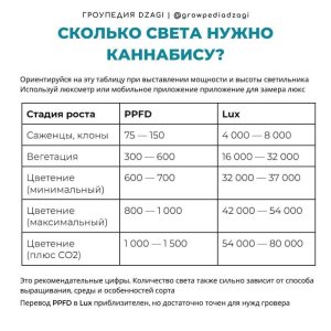 1000018042.jpg