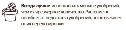 1753609977755.png