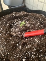 IMG_8030.jpeg