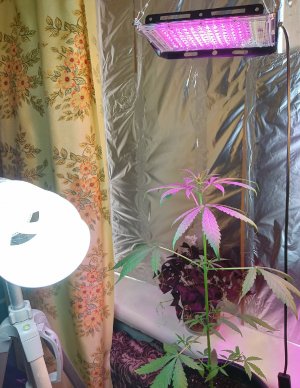 fBjXw4UHs6nZv4ynUYvkVl6LjAtZYuLwBvuFRA6DP5066j0eMl-lhRUFUKO9CifcBo6zjTBWYEF7pV5ackVcm9i2.jpg