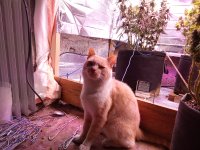 IMG_20250828_062746.jpg