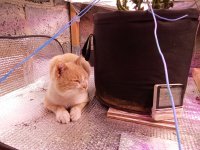 IMG_20250828_063159.jpg