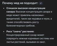 IMG_0690.jpeg