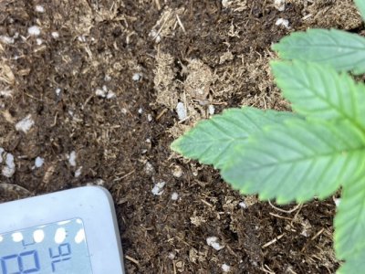 BB8A8224-9E3E-4F53-83FF-056A680CB165.jpeg BB8A8224-9E3E-4F53-83FF-056A680CB165.jpeg