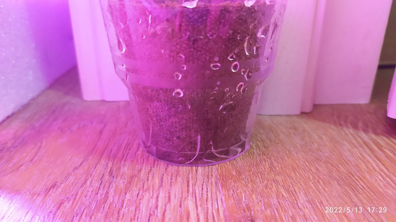 photo_2022-05-13_17-34-29 (2).jpg