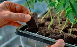 1761219654141.png 1761219654141.png