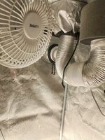 IMG_20251120_135400.jpg