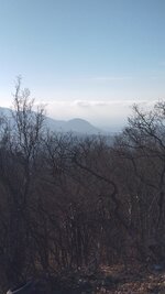 IMG_20251127_105315.jpg