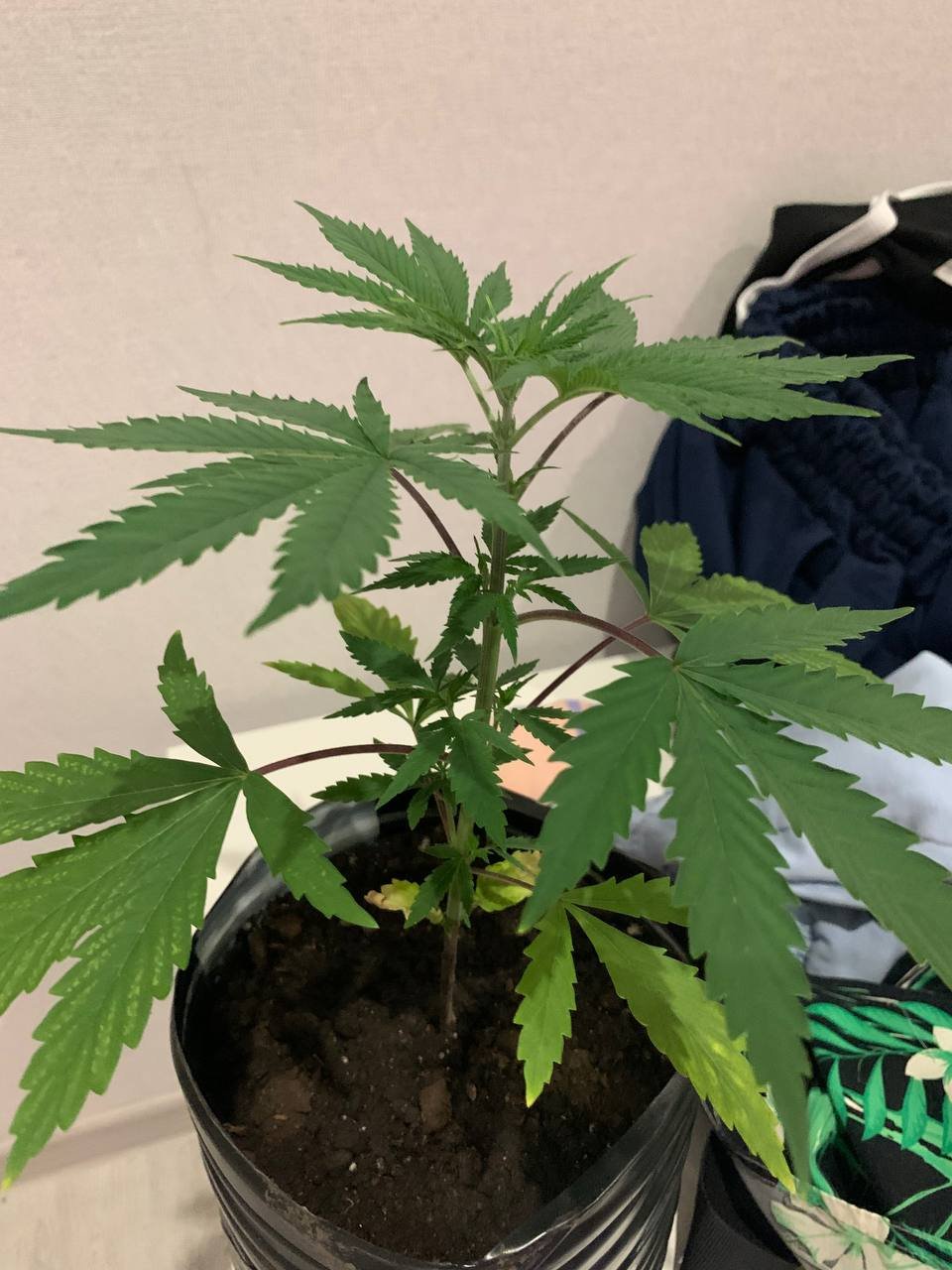 photo_2022-05-26_21-35-04 (2).jpg