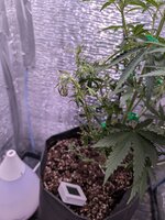 PXL_20260128_074128311.jpg