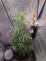 PXL_20260130_062359409.jpg