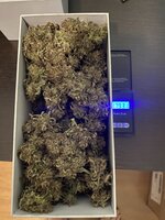 IMG_2867.jpeg