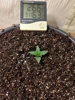 IMG_20260420_231712.jpg