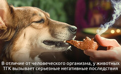TGK__YK42HazPX2WBZSBB.jpg