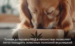Lakomstva__3LK5w12sxS2VcSOW.jpg