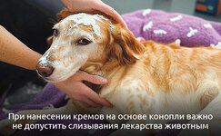 Mazi-i-kremi__rxpkyv3SMmOSDBdc.jpg