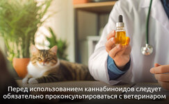 Pravila-dozirovki-i-bezopasnosti__z0oWfFPnXerJ8cKs.jpg