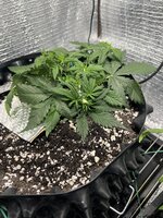 IMG_3058.jpeg