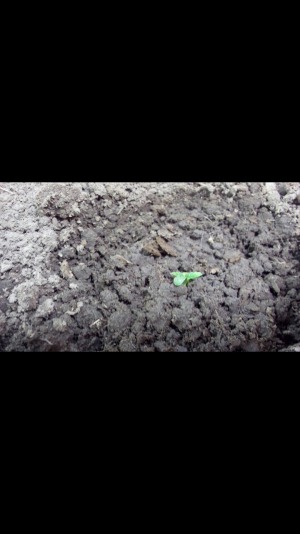 Screenshot_2022-06-20-22-05-51.png