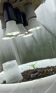 AF2823E9-9EDD-4F67-93CA-C4DFD1082DA0.jpeg AF2823E9-9EDD-4F67-93CA-C4DFD1082DA0.jpeg