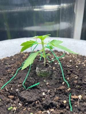 04AB12F3-E1CE-4083-B09F-F06047BDA4AB.jpeg 04AB12F3-E1CE-4083-B09F-F06047BDA4AB.jpeg