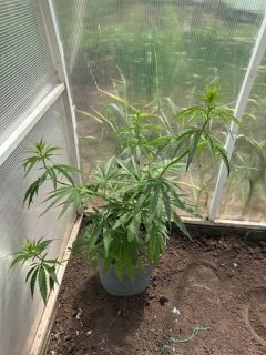 28E23B9F-508F-4903-9D92-0DFC46F74B8D.jpeg 28E23B9F-508F-4903-9D92-0DFC46F74B8D.jpeg