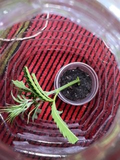 97AB1BCB-799C-457D-AA7F-678A98EB3605.jpeg 97AB1BCB-799C-457D-AA7F-678A98EB3605.jpeg