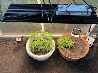 5706FD66-5EFB-4514-B1FE-7386C526DB27.jpeg 5706FD66-5EFB-4514-B1FE-7386C526DB27.jpeg