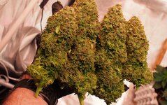 PA212389.JPG