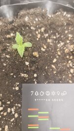 1992.jpg