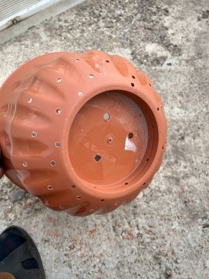 B35F7CE1-379C-49D1-9A74-39FA6478DEF5.jpeg B35F7CE1-379C-49D1-9A74-39FA6478DEF5.jpeg