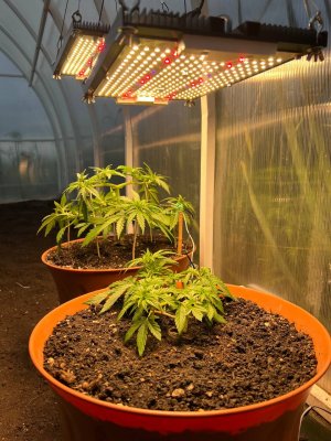 FABDEA5A-3064-4D25-ADA4-884A3A52F3A7.jpeg FABDEA5A-3064-4D25-ADA4-884A3A52F3A7.jpeg