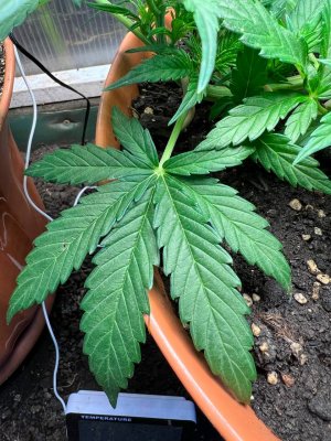 0A132453-D431-4256-B4B0-258F6C71C5B6.jpeg 0A132453-D431-4256-B4B0-258F6C71C5B6.jpeg