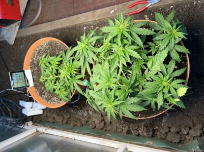 D26E3586-2284-41AF-A8F7-9BC39DE7921C.jpeg D26E3586-2284-41AF-A8F7-9BC39DE7921C.jpeg