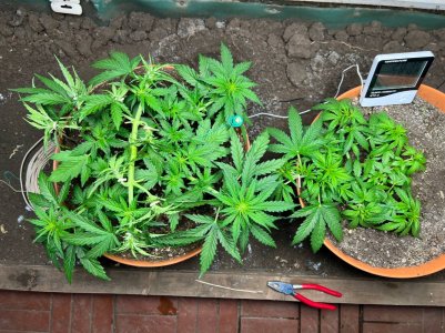 02376C3B-2D9E-4F58-8E5B-77B2997E8A90.jpeg 02376C3B-2D9E-4F58-8E5B-77B2997E8A90.jpeg