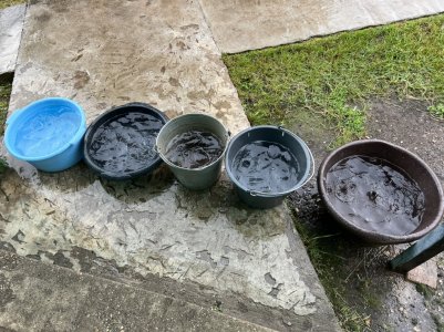 23AE448D-BDE1-42BB-B115-D055113B2903.jpeg 23AE448D-BDE1-42BB-B115-D055113B2903.jpeg