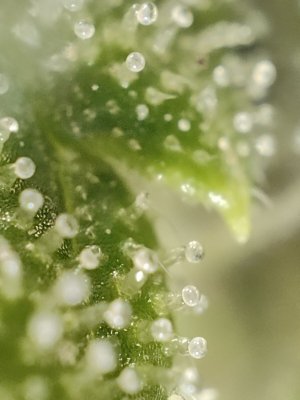 IMG20220831132742.jpg IMG20220831132742.jpg