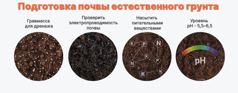 Neskolko-khitrostej-po-podgotovke-pochvy.jpg