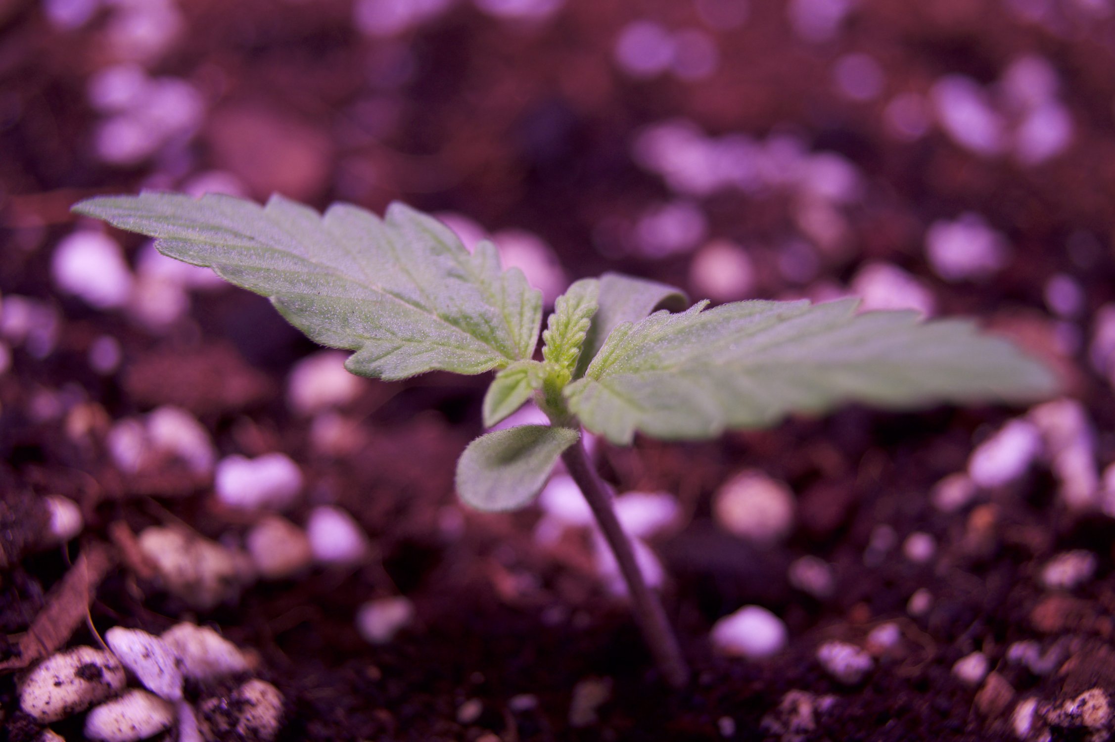 DSC04340.jpeg DSC04340.jpeg