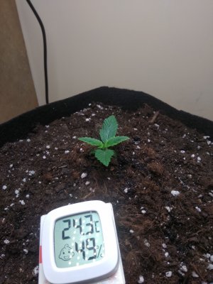 IMG_20230220_061430.jpg IMG_20230220_061430.jpg