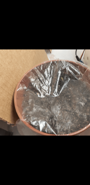 S30316-075441.png