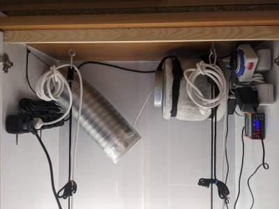 PXL_20230502_003403818.jpg PXL_20230502_003403818.jpg