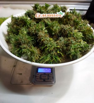 Screenshot_2023-05-04-22-54-46-237_com.miui.gallery-edit.jpg Screenshot_2023-05-04-22-54-46-237_com.miui.gallery-edit.jpg