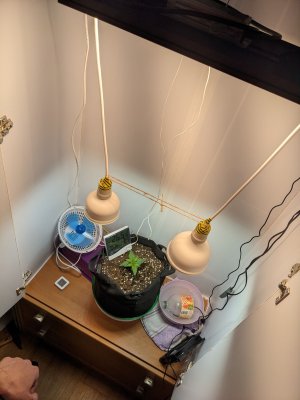 PXL_20230505_203311708.jpg PXL_20230505_203311708.jpg