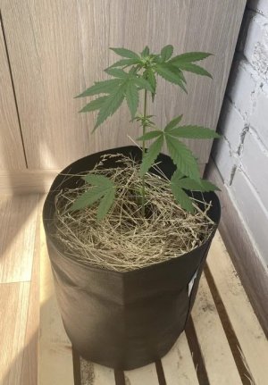 2023-06-07 09-53-17.jpg