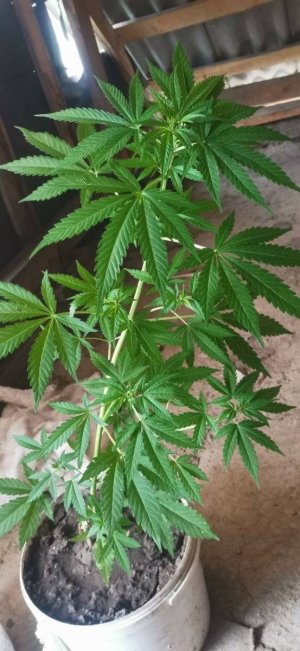 photo_5206705123009611339_y.jpg photo_5206705123009611339_y.jpg