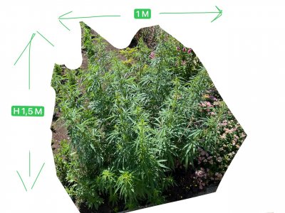 0C276ACC-316D-4121-91B4-B7F53E0664EA.jpeg 0C276ACC-316D-4121-91B4-B7F53E0664EA.jpeg