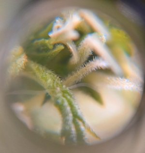 20230802_161824.jpg
